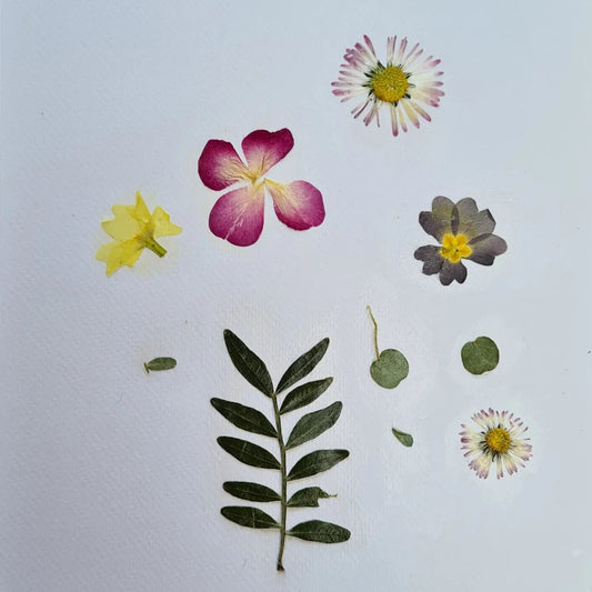 Playing with nature